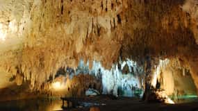 Riviera Maya: Billete de Ecoaventura Selva Maya con Comida