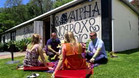 Desde Adelaide: Boutique McLaren Vale Wine Tour con almuerzo