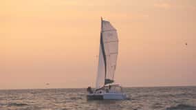 Monterey Bay: Sunset Catamaran Sailing Cruise