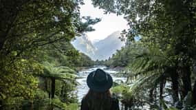 Milford Sound: Self-Guided Milford Track Day Walk