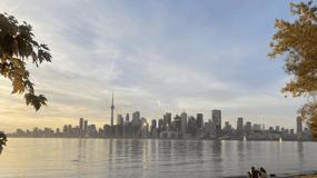 Toronto: Bus or Walking City Tour in English or French