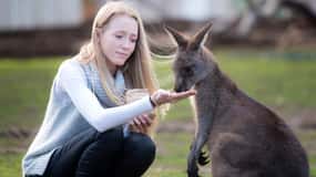 Hobart : Billet d'entrée au sanctuaire de la faune de Bonorong