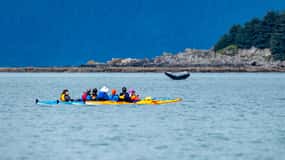 Juneau: Paddle with Whales Kayak Adventure