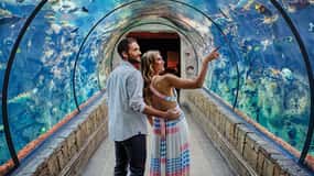 Las Vegas: billet d'entrée à l'aquarium Shark Reef et à l'expérience VR