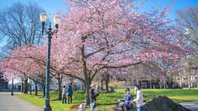 Essential Portland: 2-Hour Guided Bike Tour