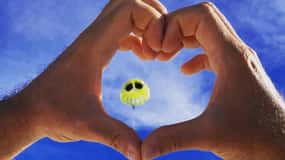 Conero Riviera: Parasailing Experience