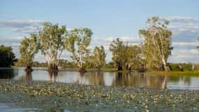 Darwin : Excursion d'une journée dans le parc national de Kakadu
