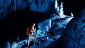 Nadi: Abseiling, Zipline, and Cave Tour with Meal