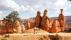 Bryce Canyon et Zion National Park : Visite privée en groupe
