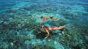 From Cairns: Green Island Half-Day Morning Cruise