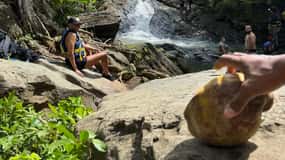 From San Juan: El Yunque Rainforest & Luquillo Beach Tour