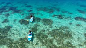 Ishigaki Island: SUP or Kayaking experience at Kabira Bay