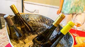 Terceira: tour di degustazione di vini vulcanici con tapas