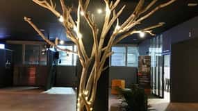 Herblay-sur-Seine : VR Escape Game - Survie et quête dans la jungle