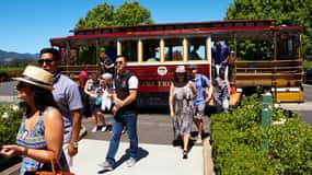 Sonoma Valley: Wine Trolley Tasting Tour with Lunch