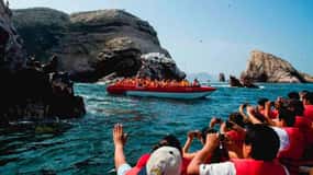De Paracas: Passeio guiado de barco pelas Ilhas Ballestas