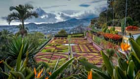 Funchal: Botanical Garden & Old Town Tour by TukTuk (1h45)