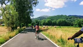 Lucca: Self-Guided Bike Tour to the Wine Roads