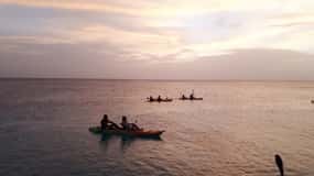 Aruba: Clear-bottom Kayak Guided Night Tour on Arashi Beach