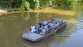 Leipzig: Riverside Forest Tour on the Pleiße