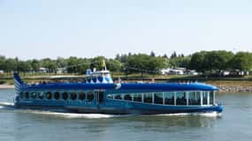 Ruta en barco por el Rin de Bonn a Königswinter con guía en directo