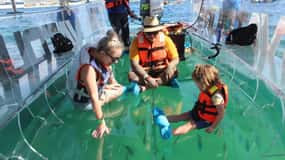 Los Cabos: Transparent Boat Tour with Optional City Tour