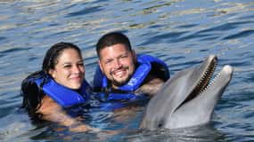 Ocean World Dolphin Swim & Sea Lion Combo from Puerto Plata