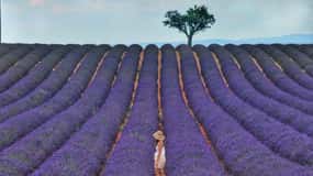 De Aix: Viagem de 1 dia aos campos de lavanda de Valensole na Provença
