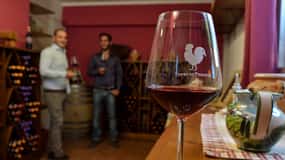 Chianti : dégustation et visite guidée du vignoble Terre Di Perseto