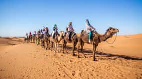 From Fez: 2-Day Marrakech via Merzouga Desert Tour