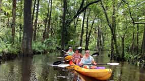 Jupiter: Wild and Scenic Loxahatchee River Kayak Tour