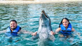 Puerto Plata: Ocean World Adventure Park Swim with Dolphins
