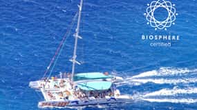Madère : Cabo Girão, expérience vinicole et observation des dauphins