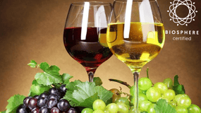 Madeira: Wine Tasting Experience Honey Museum and Cabo Girão