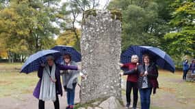 Invergordon: Luxury Relaxed South Shore Excursion