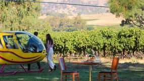 Barossa Valley: Private Helicopter Flight & Winery