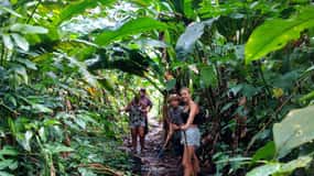 Escursione naturalistica alle cascate "Tropically Yours".