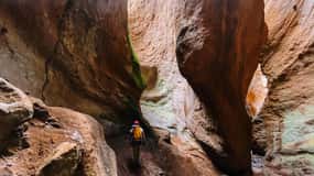 Tenerife: Guided Canyoning Experience in Los Arcos