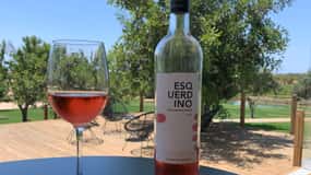 De Albufeira: Safári 4x4 off-road e degustação de vinhos em vinhedos