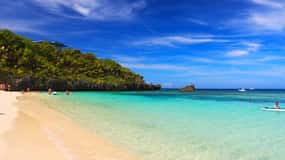 Roatan Horseback Ride Shore Excursion & West Bay Beach Break