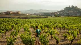 Desde San Sebastián: Excursión de un día a la región vinícola de La Rioja