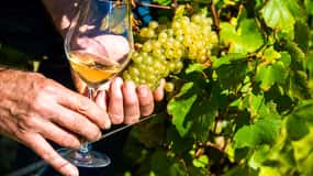 Nice: Provence Village Tour with Wine and Produce Tasting