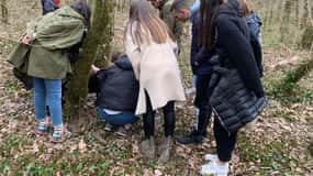 Livade: Guided Truffle Hunting Walking Tour