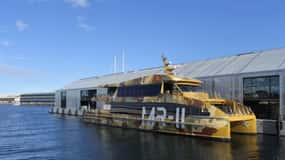 Hobart : Excursion d'une journée à Mt Wellington et MONA avec trajet en ferry