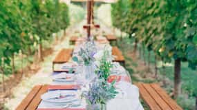 San Gimignano: cena romantica in vigna