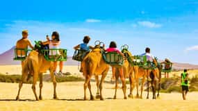 E-Bike City Tour with Camel Safari on Maspalomas Sand Dunes