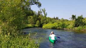 Desde Viechtach: Excursión en canoa por el río Regen hasta Höllensteinsee