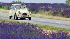 The best of Provence: 4-day tour