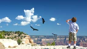 Grand Canyon: Morning Off-Road Safari with Skip the Gate