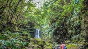 Dia inteiro Faial da Terra + Nordeste desde Ponta Delgada